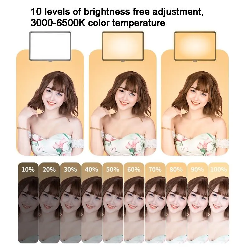 30cm Flat-Panel Live Fill Light with 3-Colour Temperature | Adjustable Bracket