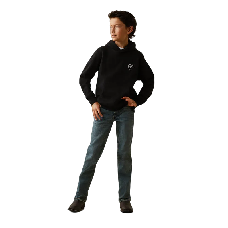 Ariat Boy's Americana Block Hoodie