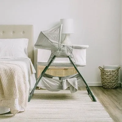 Baby Delight Beside Me Doze Deluxe Bedside Bassinet