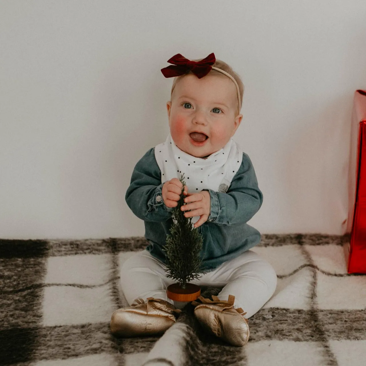 Blush Bandana Bib Set
