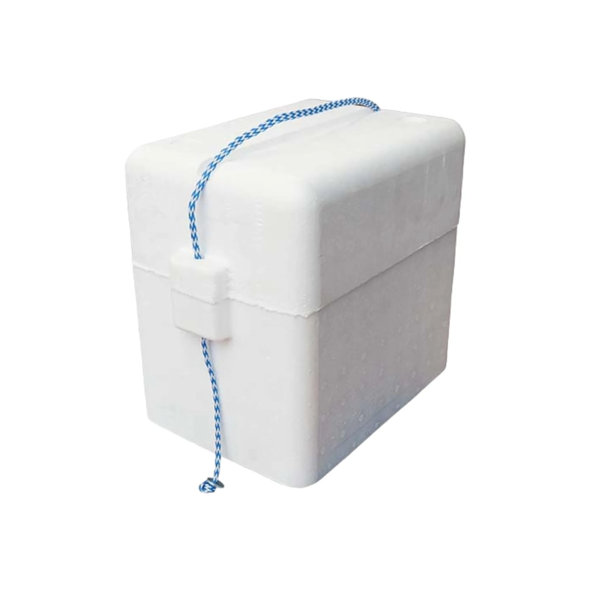 Polystyrene 6L Cooler Box Deep with Rope Thermal Storage Box - Fits 6-Pack